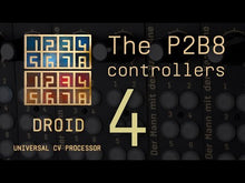 Load and play video in Gallery viewer, P2B8 - Controller
